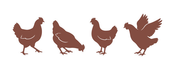 vector of chicken body silhouette

