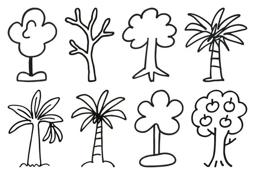 PNG Hand-drawn tree vector element set on transparent background