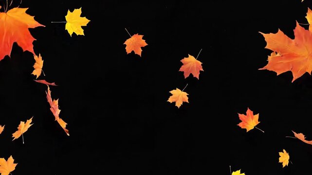 Autumn leaves arranged in circular wreath dispersing into slow motion fall against dark backdrop. Cinematic hyperrealistic seasonal foliage sequence in 4k visualization