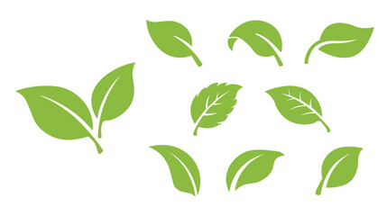 Green Leaf Icons Set in Flat Style Isolated on White Background