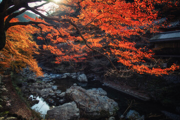 The scenery of Kiyotaki, Arashiyama in late autumn in Kyoto, Japan.