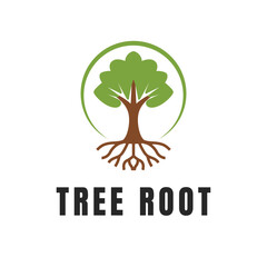 Tree Root Logo Design with Green Leaves and Circular Emblem Vector