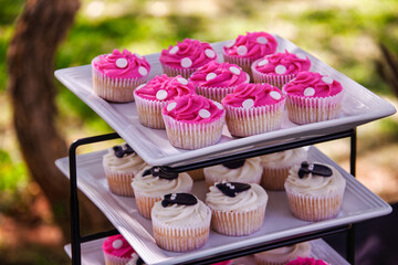 Assorted Cupcakes on Tiered Platter, pink with chocolate and vanilla cream