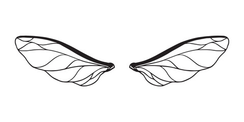 hand drawn symmetrical wings illustrations
