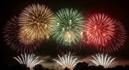 Colorful fireworks explode against a dark night sky over silhouetted trees
