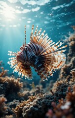 A Lionfish Curiously Exploring Its Surroundings in the Coral Garden