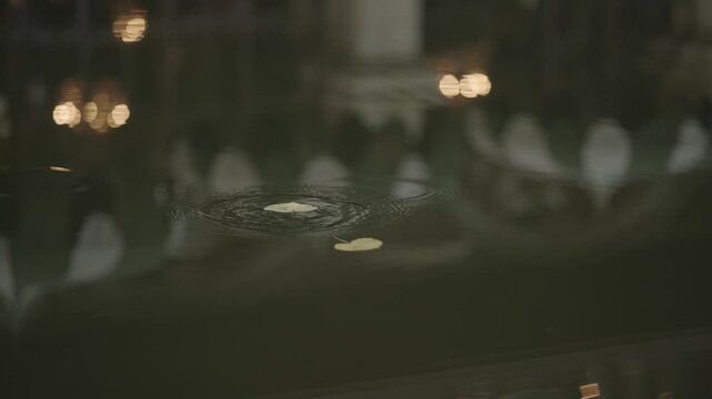 Leaves fall into calm water creating soft ripples and dreamy bokeh reflections at dusk.