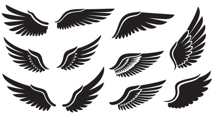 Obraz premium Collection of stylized bird wings in various positions isolated