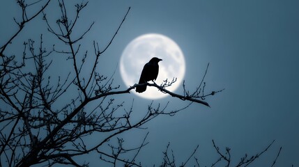 Fototapeta premium Silhouette of a crow perched on a bare tree branch against a full moon at night.