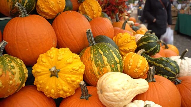 A close-up of a variety of colorful pumpkins and gourds in an autumn market setting