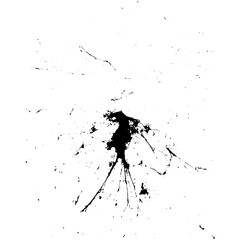 Abstract Black Ink Splash on White Background