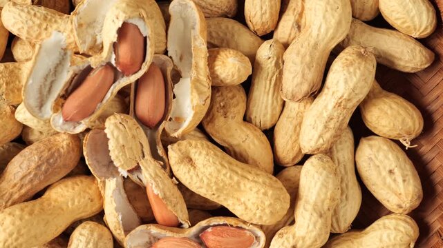 Close-up dolly shot of peanuts in shellsю