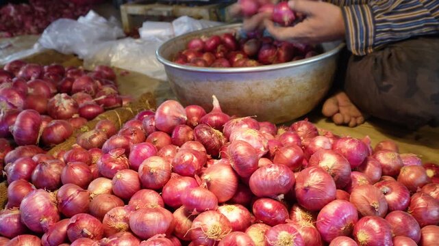 Vendor Building Large Red Onion Sales Pile