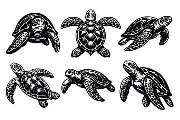 Sea Turtle Illustration Set, Ocean Turtle Silhouette  © fitradp