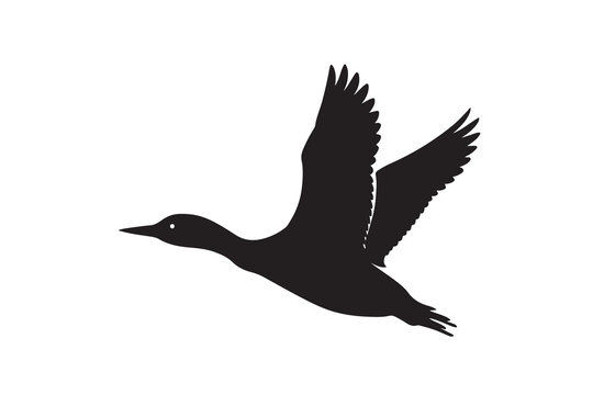clip art, peace, peaceful, serene, silhouette, flying, graphic, aquatic, feather, feathered, fly, freedom, illustration, isolated, monochrome, print, realistic, white, wing, air, animal, beak, bird, b