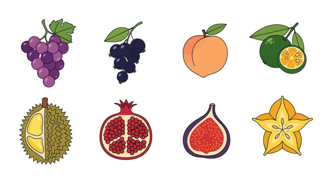 Various colorful fruit illustrations