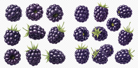 Set of fresh ripe blackberries with green leaves, isolated on a transparent background, showcasing juicy and healthy berries. © Akun