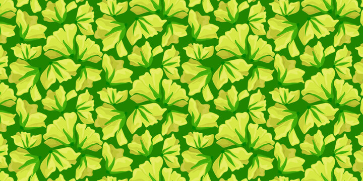 Seamless pattern Choy Sum Flowers Asian Cabbage Blossoms