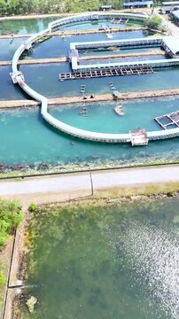 Aerial Drone View of Circular Aquaculture Fish Farm Ponds in Krabi Thailand