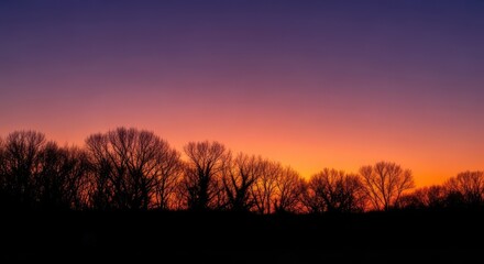 Fototapeta premium Dramatic natural environment scene featuring dark tree line profiles contrasted against a vibrant gradient sky during late evening hours, dusk, vibrant, minimal