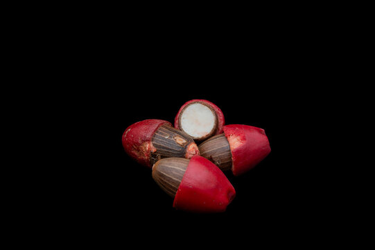 Known as Belinjau, Melinjau, and various other local names.its scientific name is Gnetum gnemon from the family Gnetaceae.