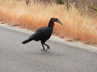 Road trip Aug 2025 2 