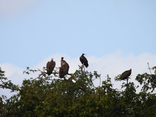 Road trip Aug 2025 2 