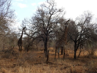 Road trip Aug 2025 2 