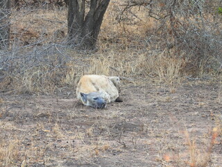 Road trip Aug 2025 2 