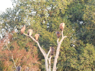 Road trip Aug 2025 2 