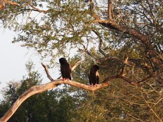 Road trip Aug 2025 2 