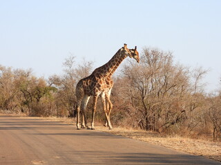 Road trip Aug 2025 2 