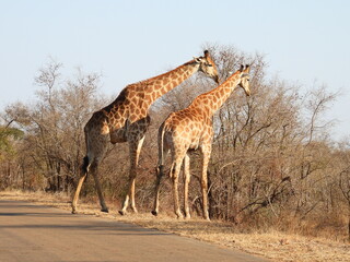 Road trip Aug 2025 2 