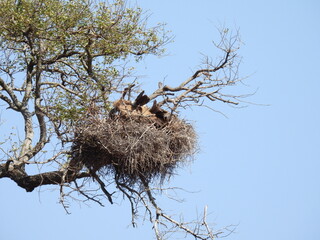 Road trip Aug 2025 2 