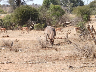 Road trip Aug 2025 2 