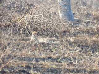 Road trip Aug 2025 2 