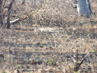 Road trip Aug 2025 2 