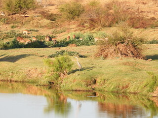 Road trip Aug 2025 2 