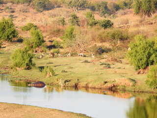 Road trip Aug 2025 2 