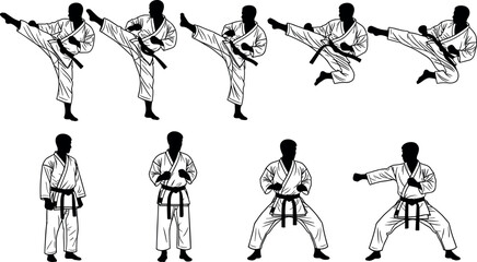 Martial arts karate fighters set in traditional gi performing high kicks punches and stances isolated on white background vector illustration. © DALIARA 