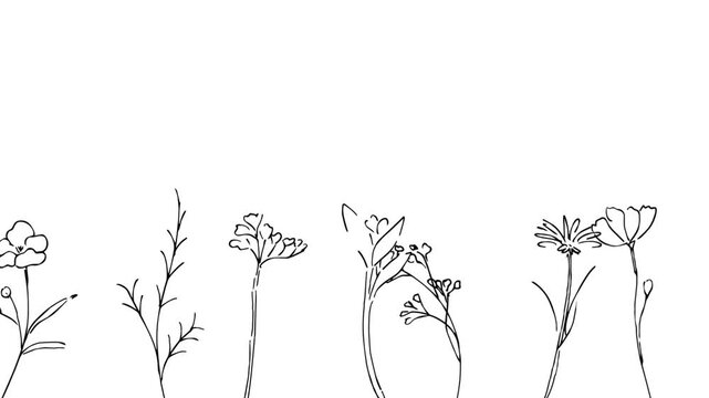 植物の線画イラスト。植物のベクターイラスト背景。葉っぱと花の背景フレーム。 Botanical line art illustration. Botanical vector illustration background. Leaves and flowers background frame.