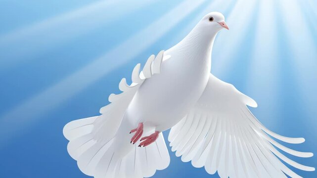 White dove flies through clear blue sky during bright day
