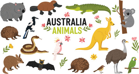 Australia Animals Vector Illustration Set with Kangaroo Koala Platypus Crocodile Emu and Native Wildlife for Education Posters Stickers and Kids Designs © Minara