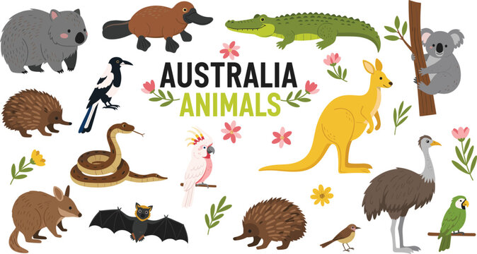 Australia Animals Vector Illustration Set with Kangaroo Koala Platypus Crocodile Emu and Native Wildlife for Education Posters Stickers and Kids Designs