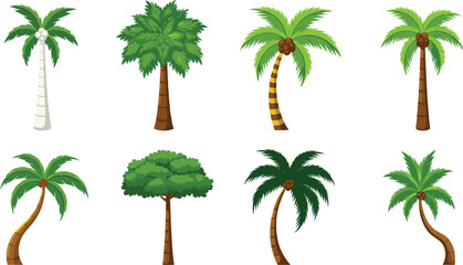 Palm Tree Vector Illustration Set with Tropical Coconut Trees in Different Shapes Styles and Angles for Summer Nature and Travel Designs
