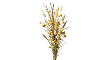 Fototapeta premium Dried flower bouquet PNG isolated on transparent background, rustic floral arrangement for wedding invitations and autumn decorations
