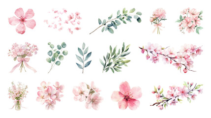 PNG Delicate watercolor floral illustrations, transparent background