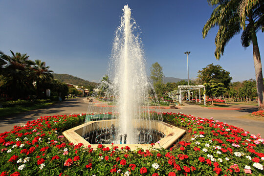 Royal flora Ratchaphruek Event, Thailand Royal Pavilion and Public Park, Chiang Mai Province, Thailand