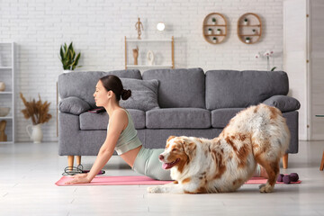 Naklejka premium Young woman with Australian Shepherd dog stretching in living room