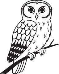 Fototapeta premium owl sitting on branch